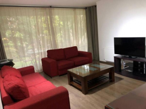 Cómodo, amplio y moderno departamento en Pucón
